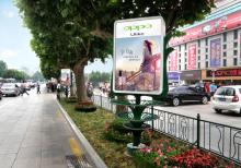 綠化帶燈箱-綠化帶廣告燈箱ZT-L-6